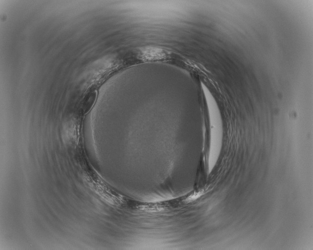 X0000059080763200510211542