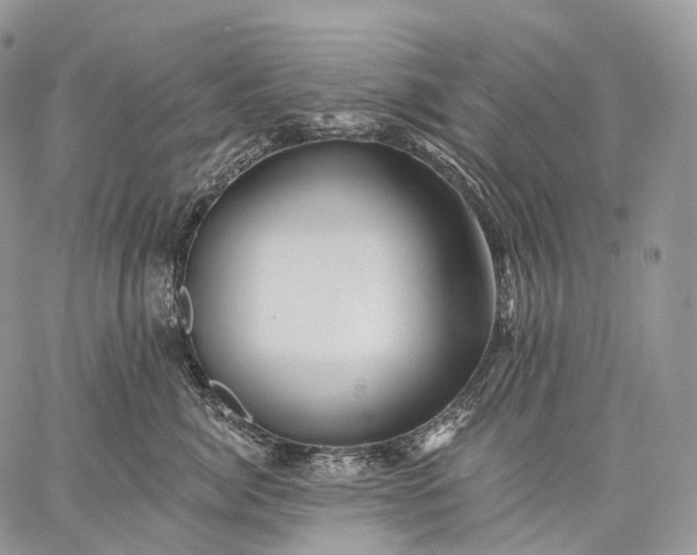 X0000059080764200510211542