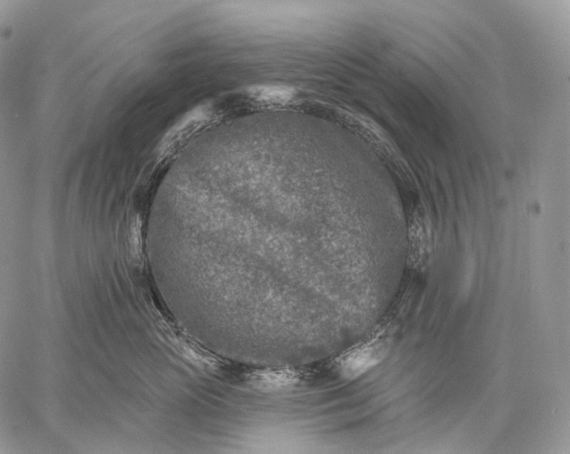 X0000059080765200510211542