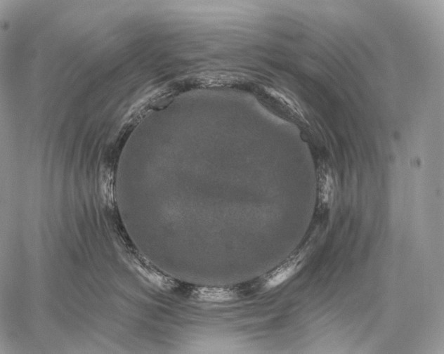 X0000059080766200510211542