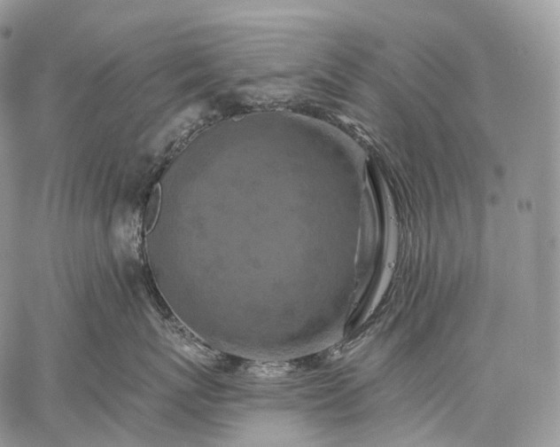 X0000059080767200510211542