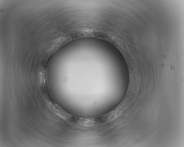 X0000059080768200510211542