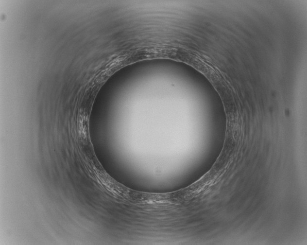 X0000059080770200510211541