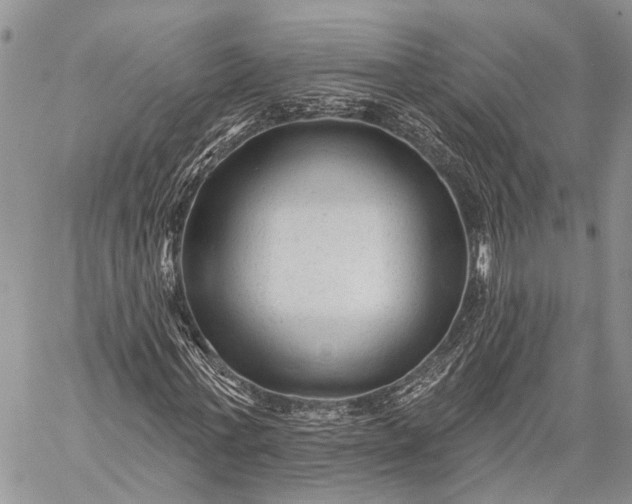 X0000059080771200510211541