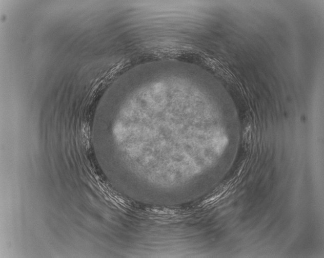 X0000059080772200510211541