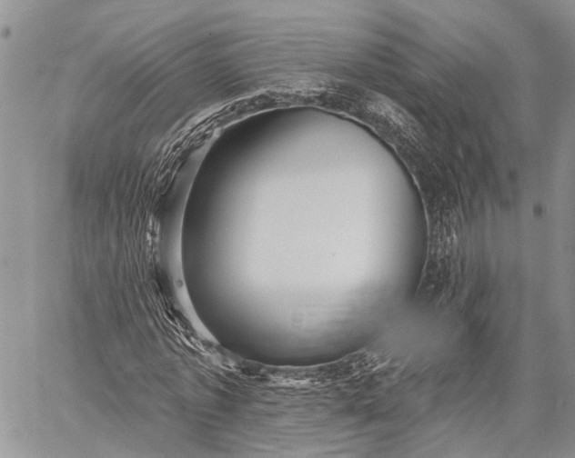 X0000059080773200510211541