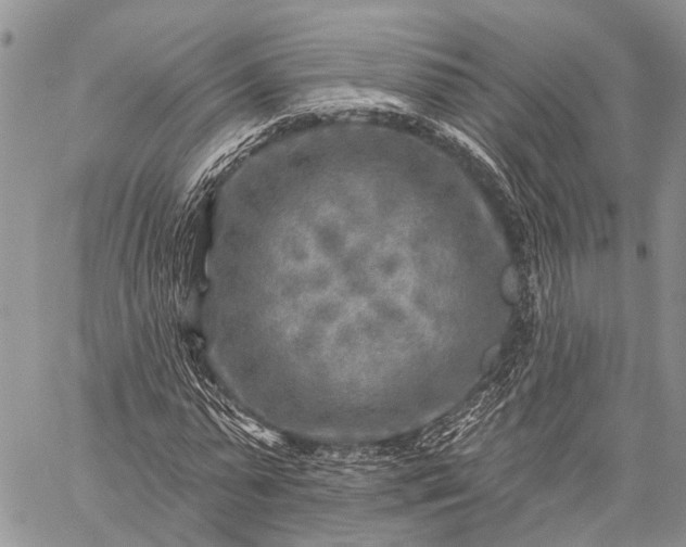 X0000059080775200510211541