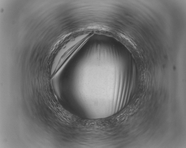 X0000059080776200510211541