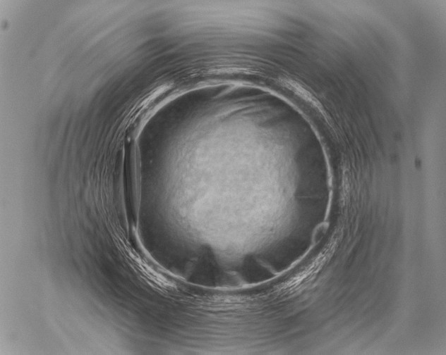 X0000059080777200510211541