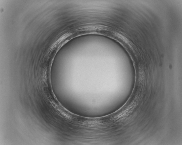 X0000059080778200510211541