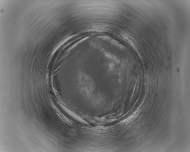 X0000059080779200510211541