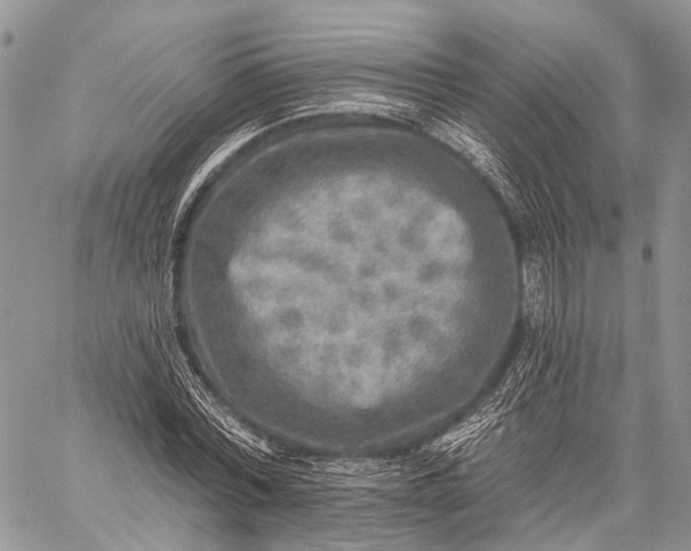 X0000059080780200510211541