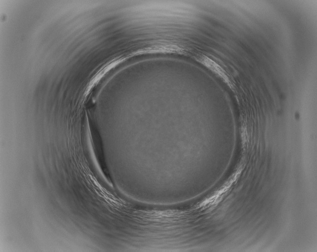 X0000059080781200510211541