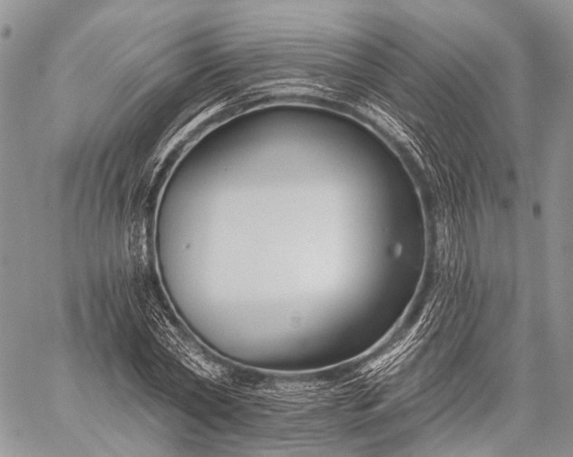 X0000059080782200510211541