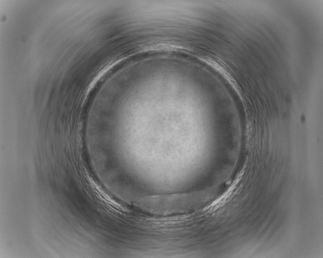 X0000059080783200510211541