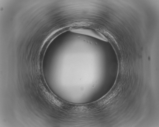 X0000059080784200510211541