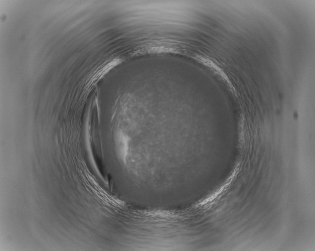 X0000059080785200510211541