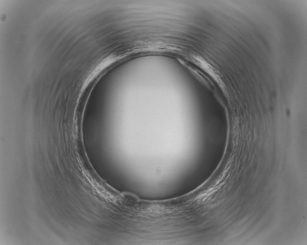 X0000059080787200510211541