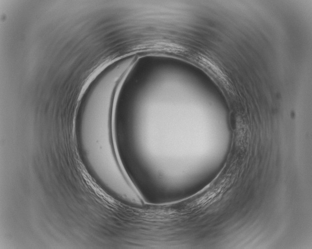 X0000059080788200510211541