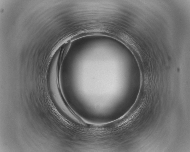 X0000059080789200510211541