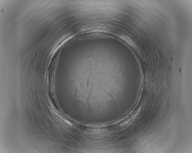 X0000059080790200510211541