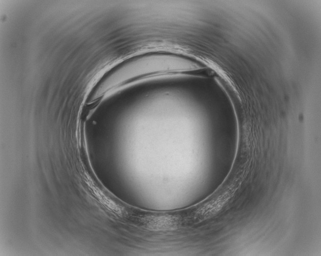 X0000059080791200510211540