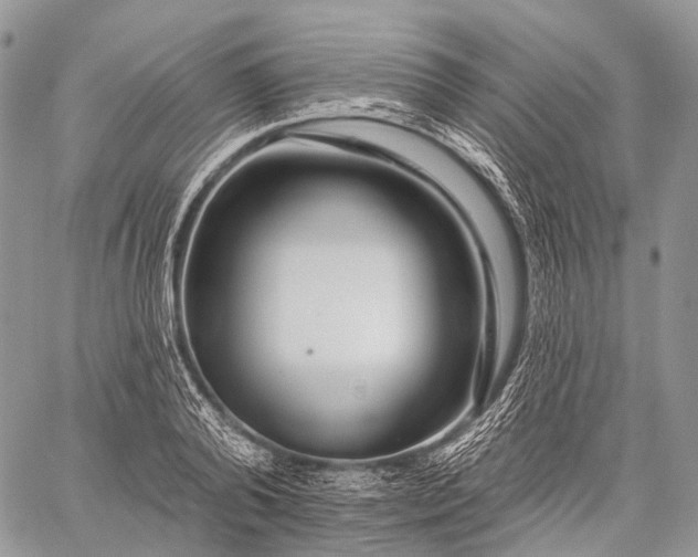 X0000059080792200510211540