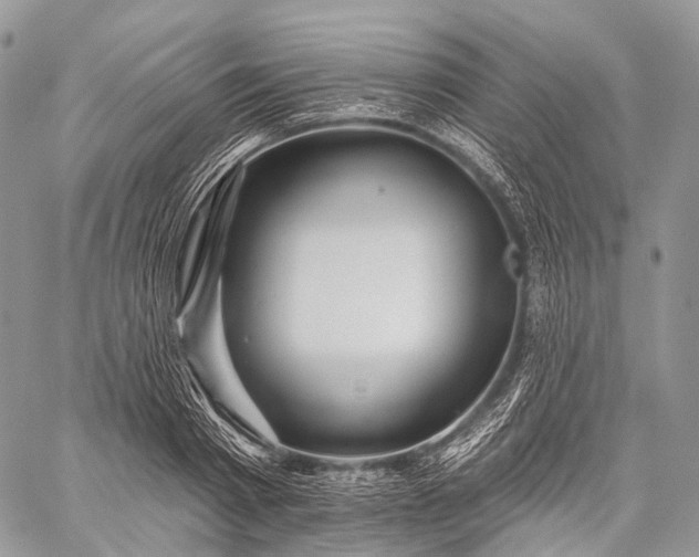 X0000059080793200510211540