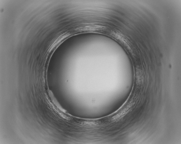 X0000059080794200510211540