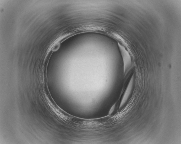 X0000059080795200510211540