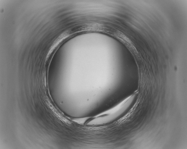 X0000059080796200510211540