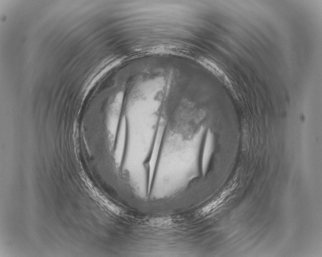 X0000059080798200510211540