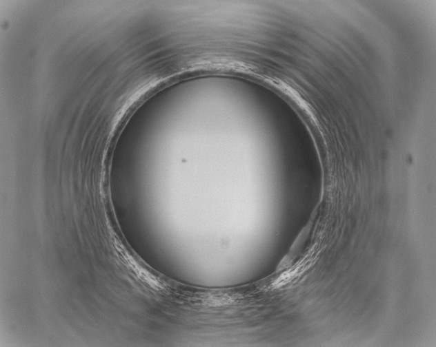 X0000059080799200510211540