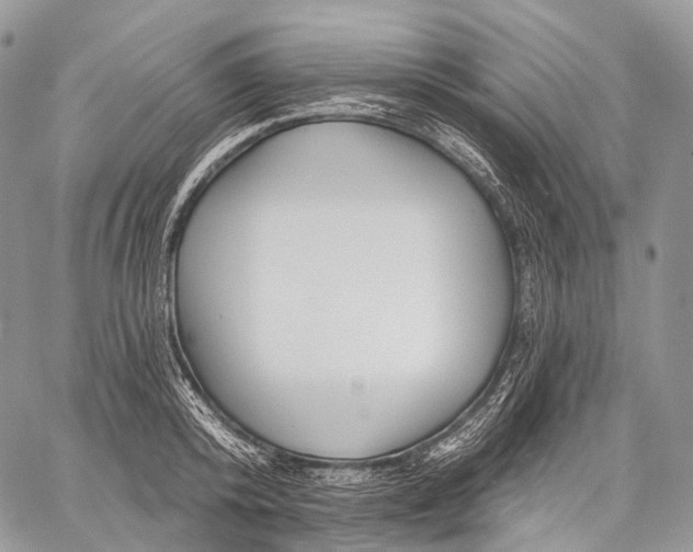 X0000059080800200510211540