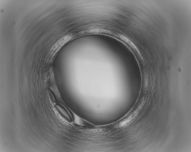 X0000059080801200510211540