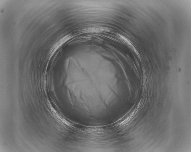 X0000059080802200510211540