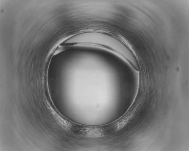 X0000059080803200510211540