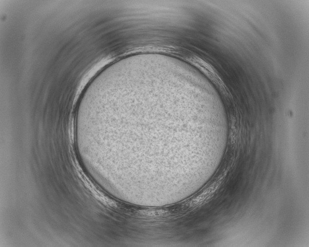 X0000059080804200510211540