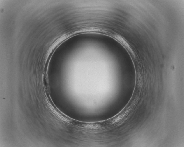 X0000059080805200510211540