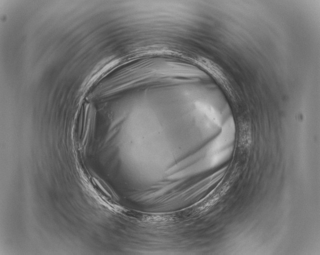 X0000059080806200510211540