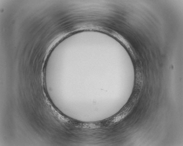 X0000059080807200510211540