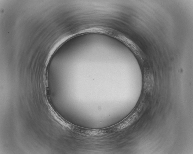 X0000059080808200510211540