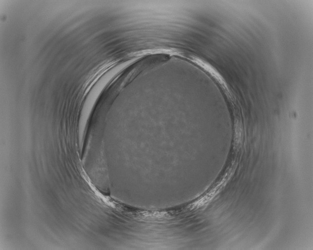 X0000059080809200510211540