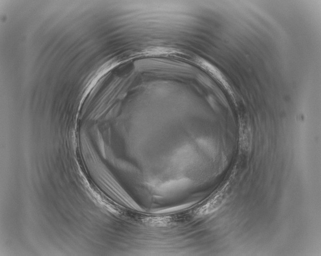 X0000059080810200510211540