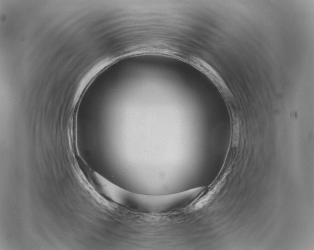 X0000059080812200510211540