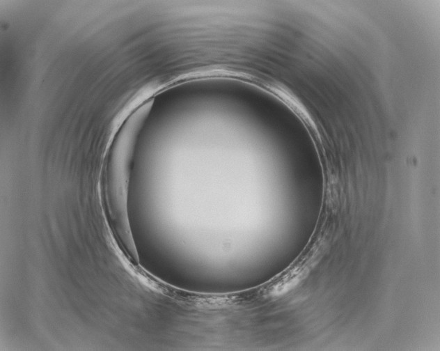 X0000059080813200510211540