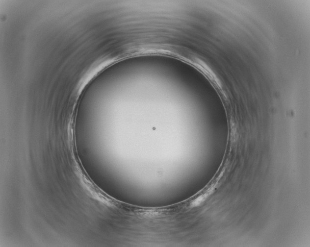 X0000059080814200510211540