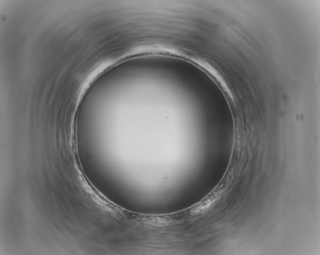 X0000059080815200510211540