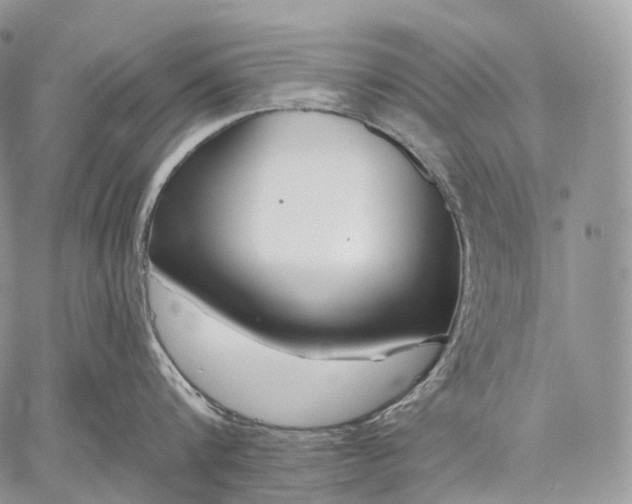 X0000059080816200510211540