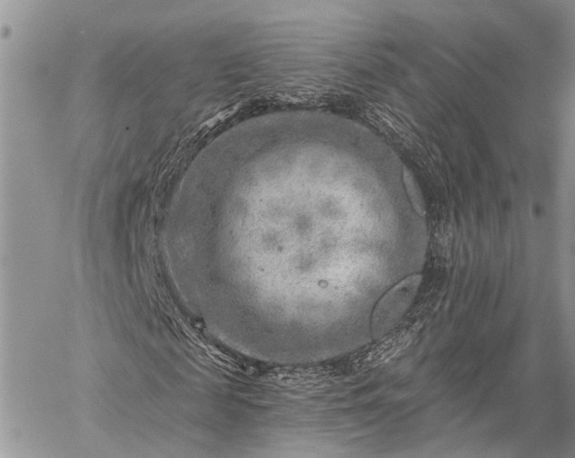 X0000059080817200510211539